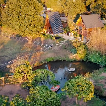 Casa Da Avo - Vale Da Silva Villas Albergaria-a-Velha Dış mekan fotoğraf