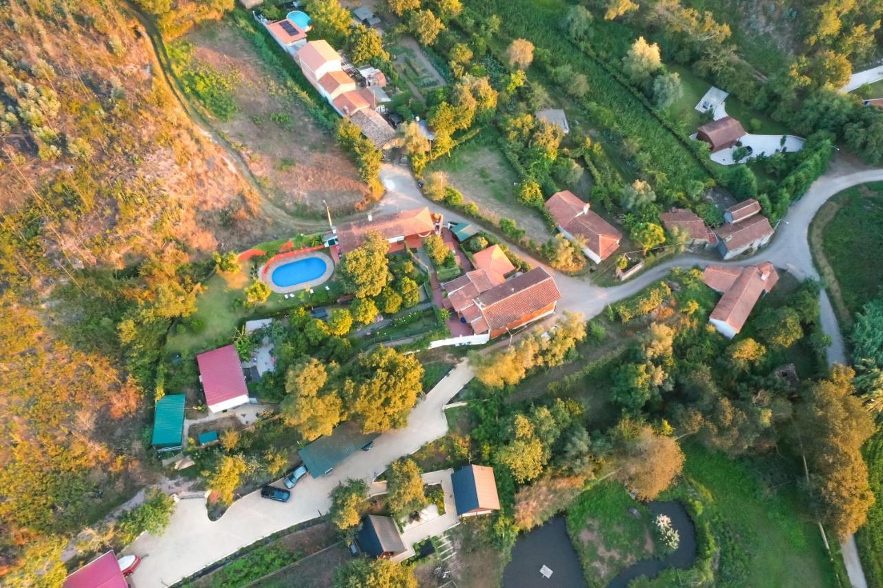 Casa Da Avo - Vale Da Silva Villas Albergaria-a-Velha Dış mekan fotoğraf