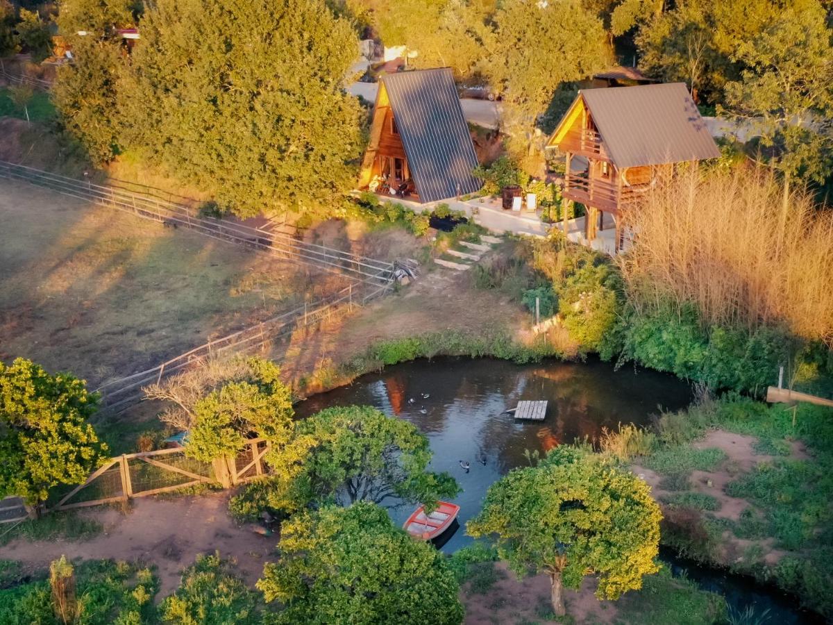 Casa Da Avo - Vale Da Silva Villas Albergaria-a-Velha Dış mekan fotoğraf
