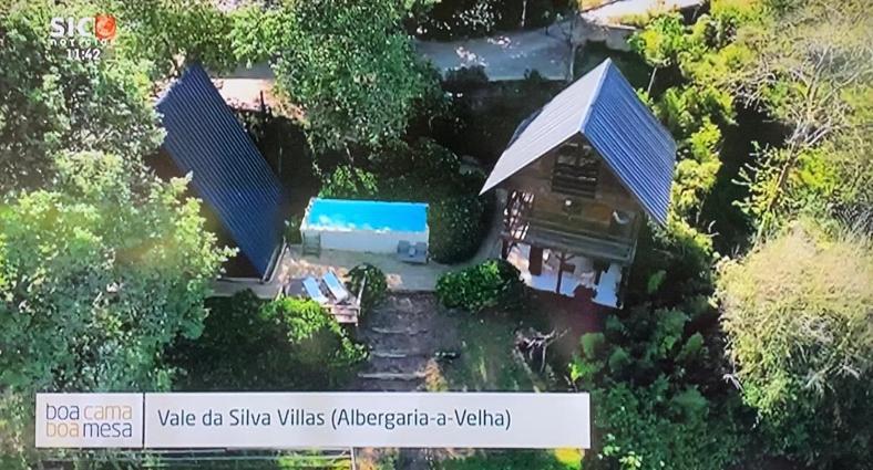Casa Da Avo - Vale Da Silva Villas Albergaria-a-Velha Dış mekan fotoğraf