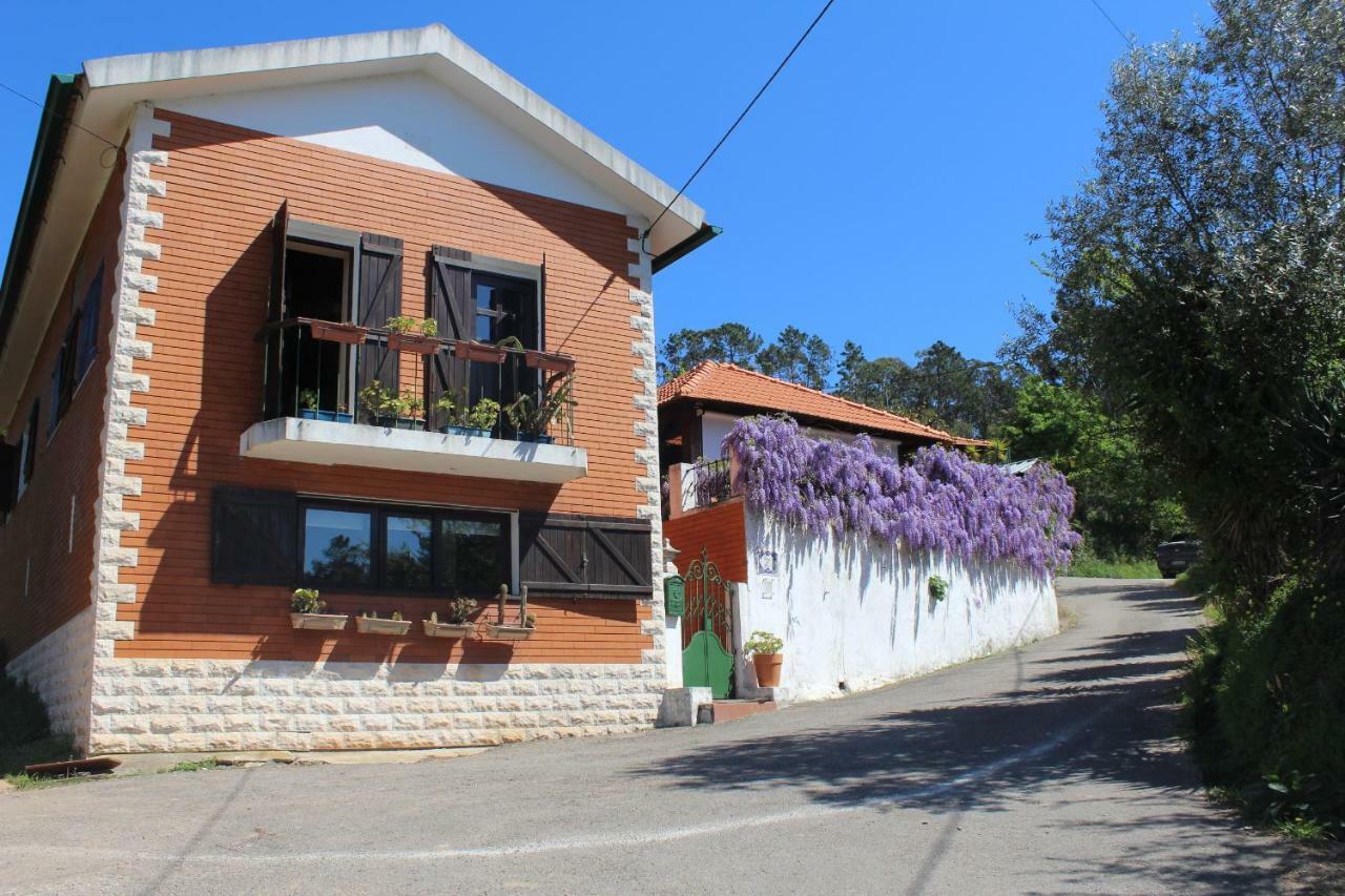 Casa Da Avo - Vale Da Silva Villas Albergaria-a-Velha Dış mekan fotoğraf