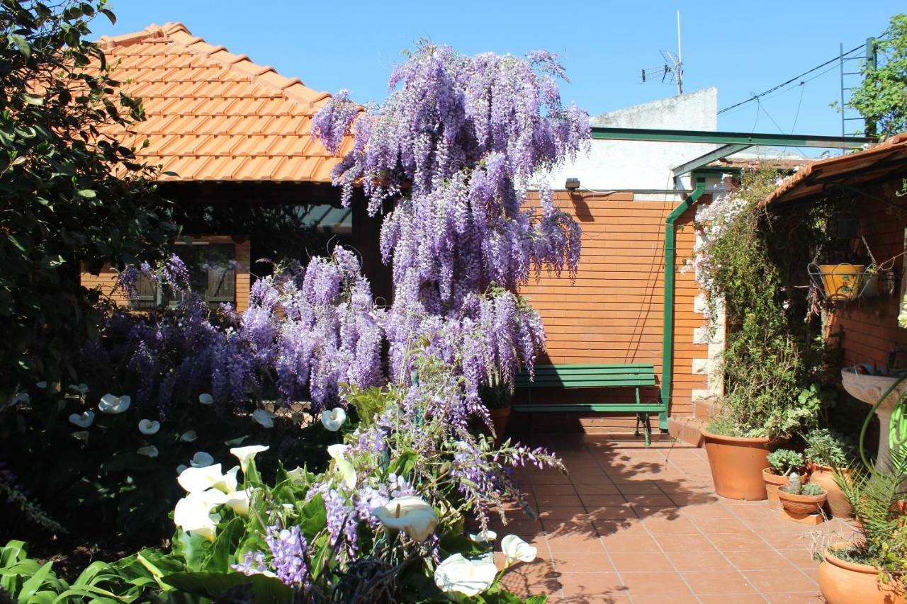 Casa Da Avo - Vale Da Silva Villas Albergaria-a-Velha Dış mekan fotoğraf